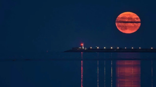 அடுத்த ஆண்டு எப்போ?