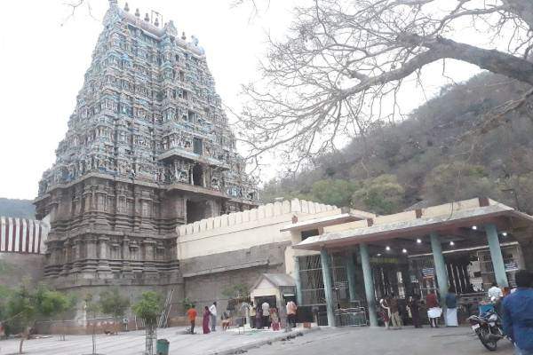 2 டன் மலர்கள் 