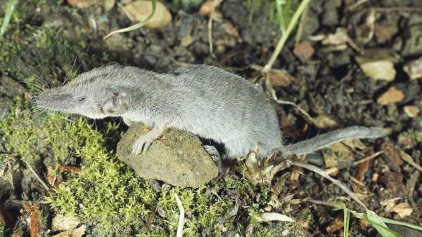 விலங்கிடம் இருந்து