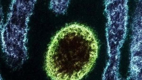 விவசாயிகள்