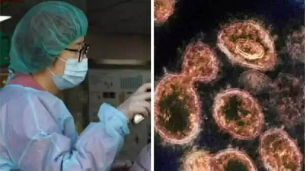 புதிய வைரஸ் பாதிப்பு