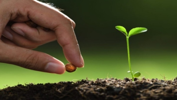 ஆடிப்பட்டம் தேடி விதை ஆடிப்பட்டம் தேடி விதை