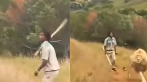  ரசிக்கும் படியான வீடியோக்கள்