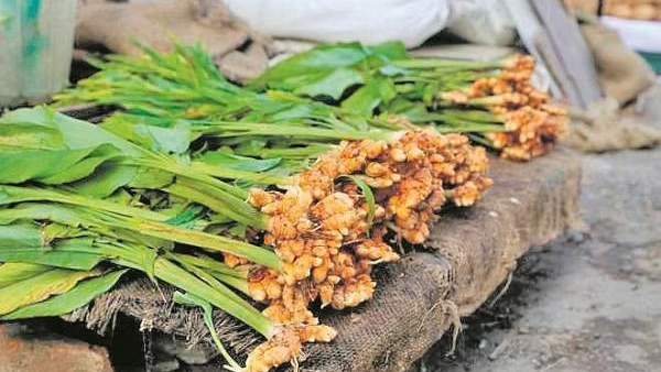 மஞ்சள் கிழங்கு 