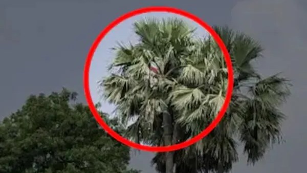  கூட்டம் கூட்டமாக சென்று...