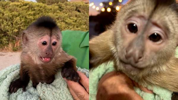 யார் அந்த நபர்? யார் அந்த நபர்?