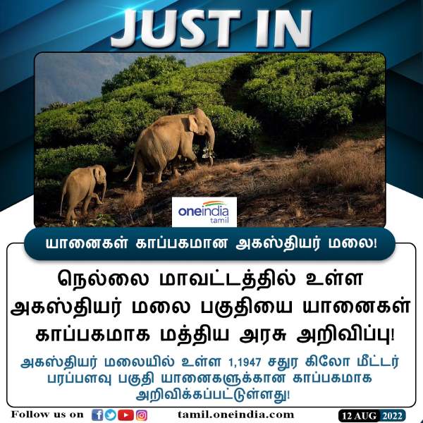  யானைகள் சரணாலயம்