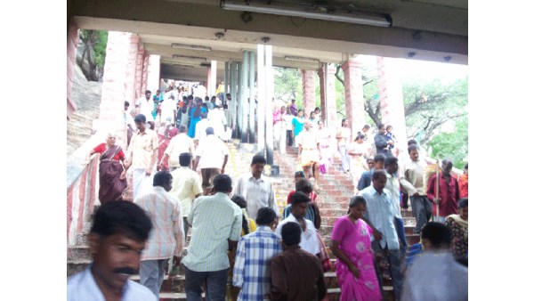  நடவடிக்கை தேவை 