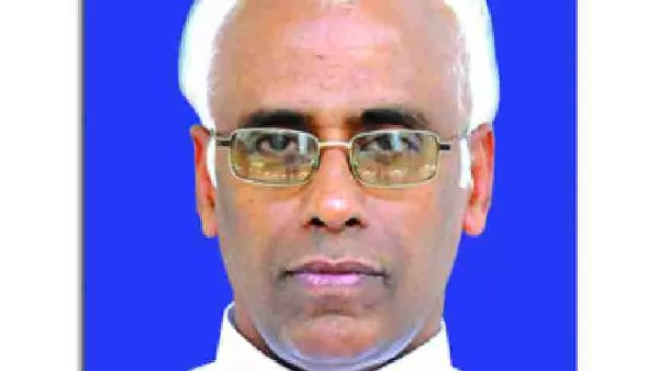 மாமி மாமி