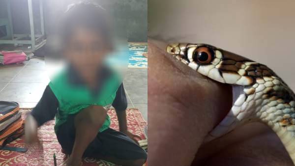  சிறுவன் பலி