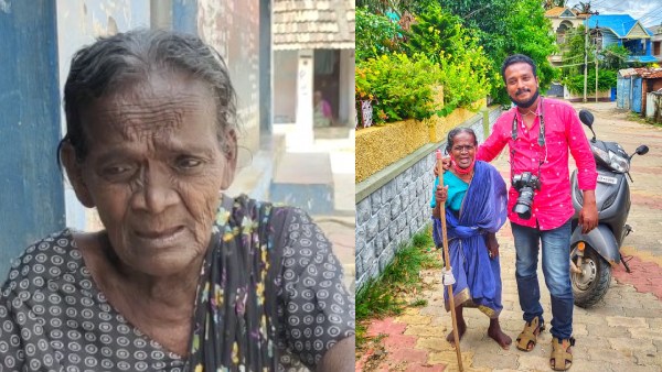 ஜாக்சன் ஹெர்பி விளக்கம்