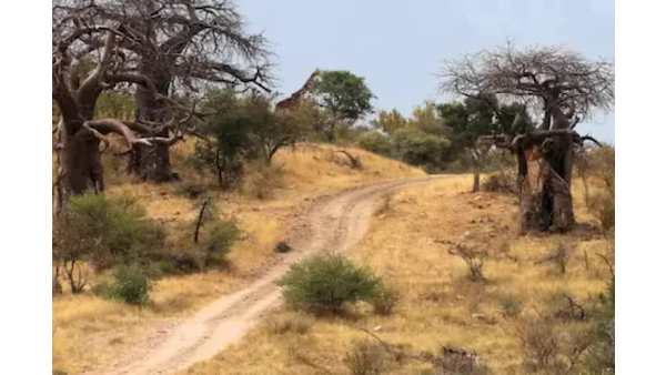  2-வது குழு