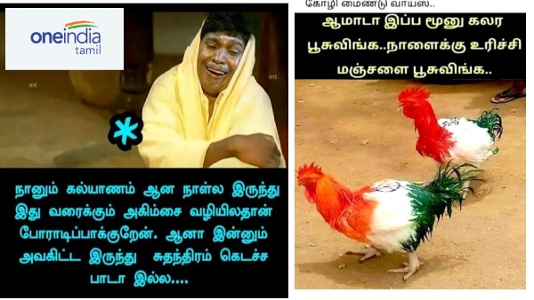 Funny memes collection on husbands freedom