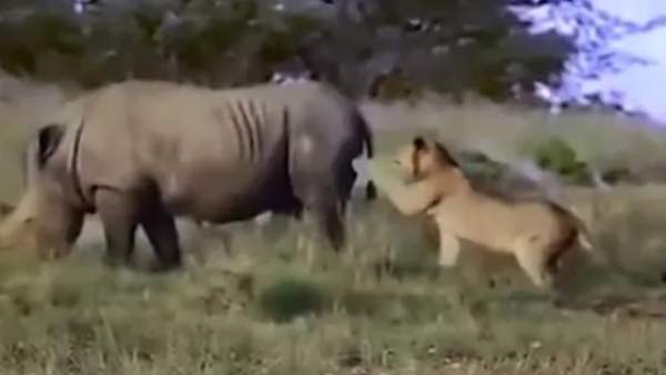  அப்படி என்னதான் இருக்கு . .