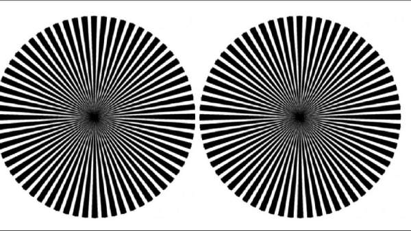 மையத்தில் வண்ண புள்ளி மையத்தில் வண்ண புள்ளி