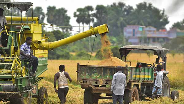 நெல் சாகுபடி பரப்பு நெல் சாகுபடி பரப்பு