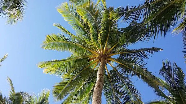  வீட்டிற்கு வந்தால்தானே..