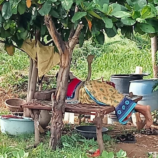  வீடியோவை பார்க்கும் போதே உடல் நடுங்குகிறது