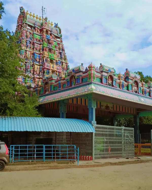  பிள்ளையார்பட்டியில் தேரோட்டம் 