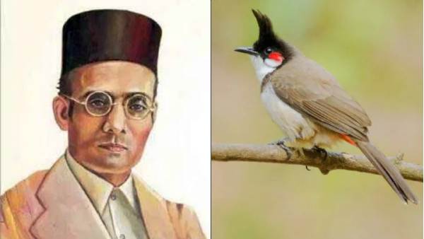 புத்தக குழு விளக்கம் 