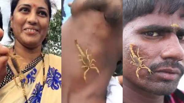 விஷத்தன்மை