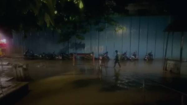 சமூக ஆர்வலர்கள் கோரிக்கை