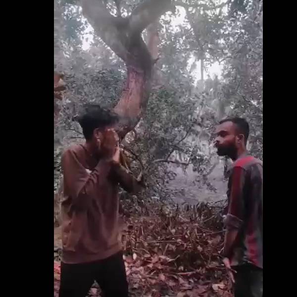 மன்னிப்புக் கேள்