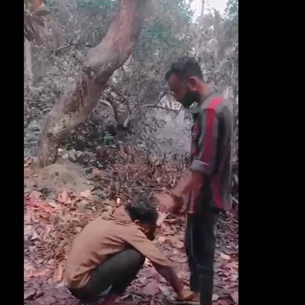 கொடூர தாக்குதல்