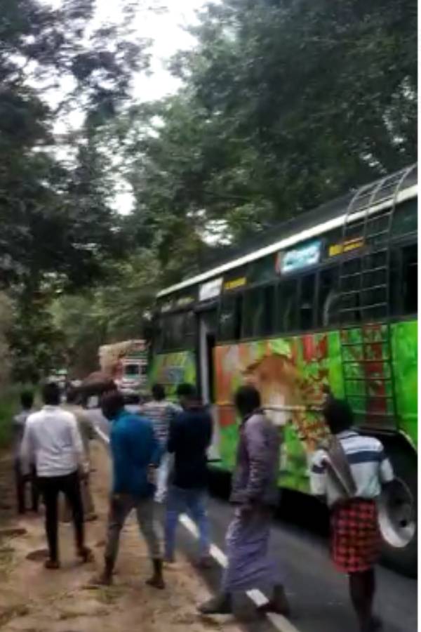 கரும்பை தின்ற யானை