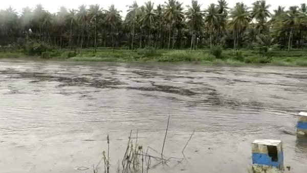 அமிர்தி காட்டாற்றில் வெள்ளப்பெருக்கு