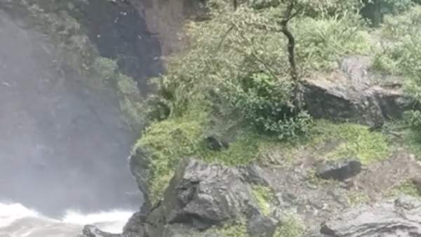 வீடியோ எடுத்த நண்பர் 