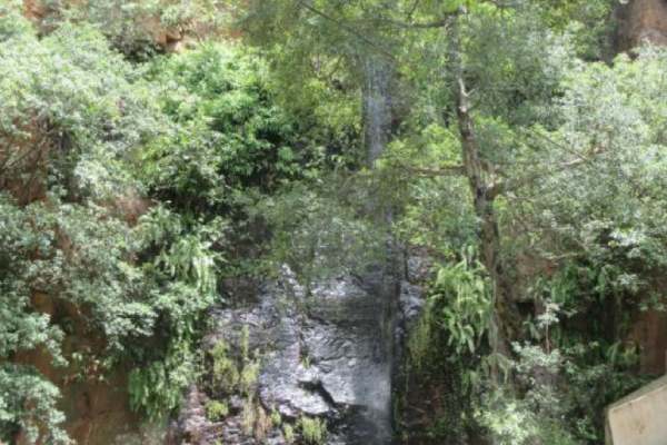 3 நாட்களாக தேடி 