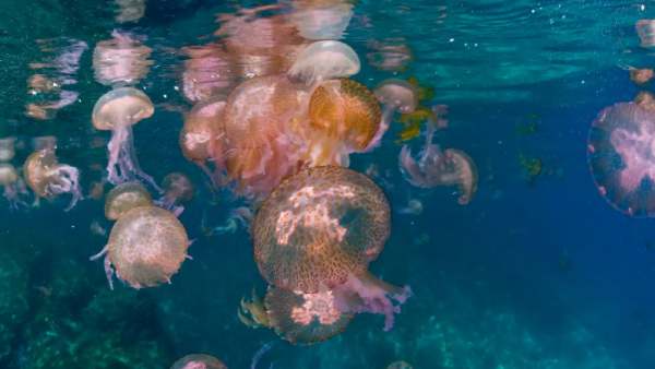 சுற்றுலாத்துறை 