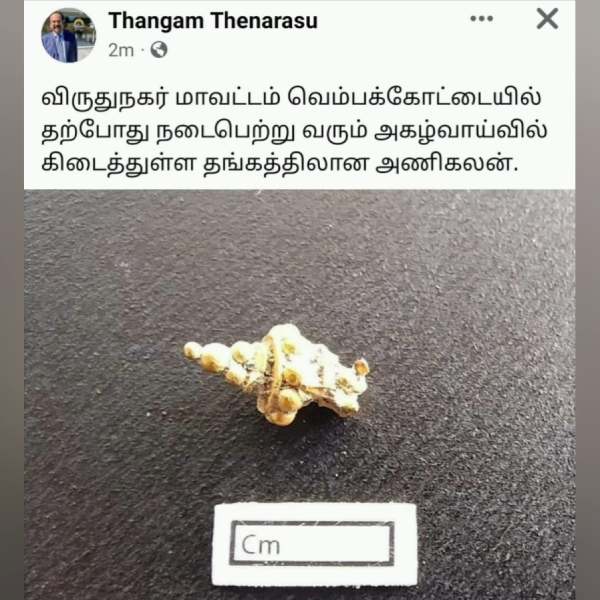 தங்க அணிகலன் 