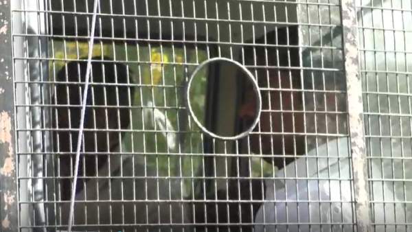 விஸ்வநாதன் வீட்டில் ரெய்டு விஸ்வநாதன் வீட்டில் ரெய்டு