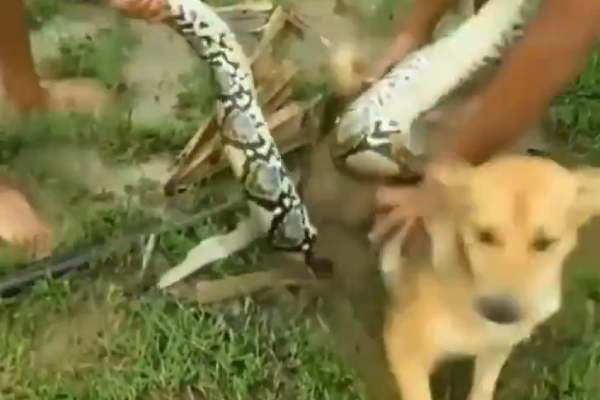  மெய்சிலிர்க்க வைத்துள்ளது