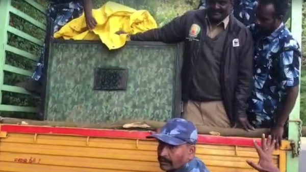 Nilgiris: Leopard trapped in cage after killing girl Nilgiris: Leopard trapped in cage after killing girl