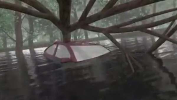 வெள்ள காலங்களில் பாதிப்பு 