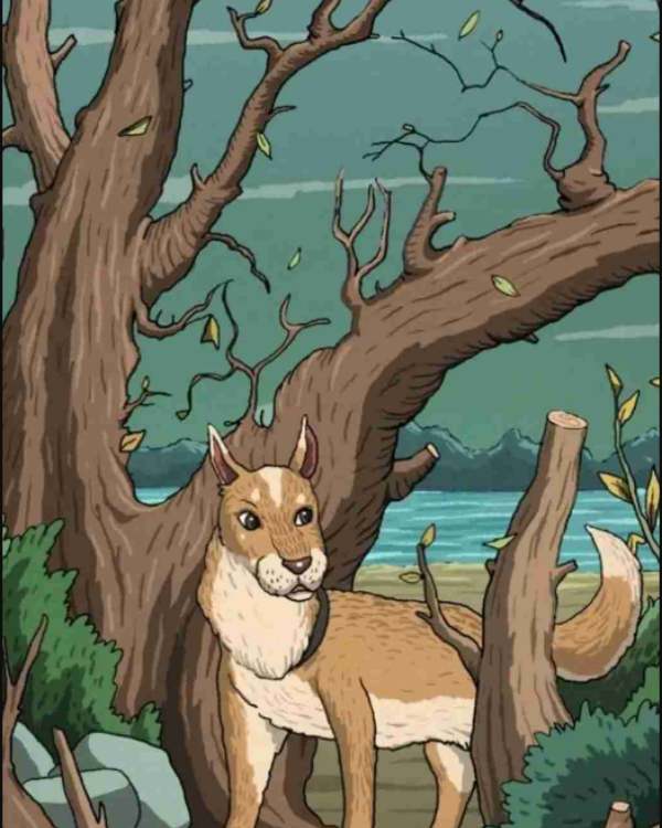  கண்டுபிடித்தால் அதி புத்திசாலிதான்