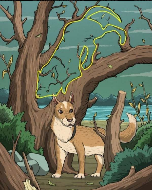  இரண்டு டிப்ஸ்