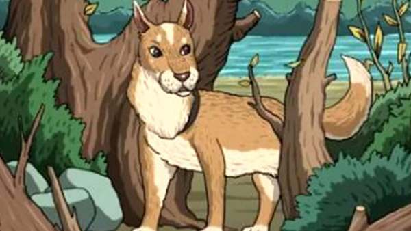  பூனையை கண்டுபிடிக்க முடிகிறதா? 