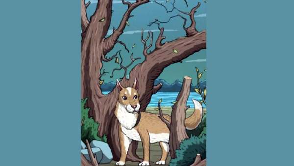  ஆப்டிகல் இல்யூஷன் படங்கள்