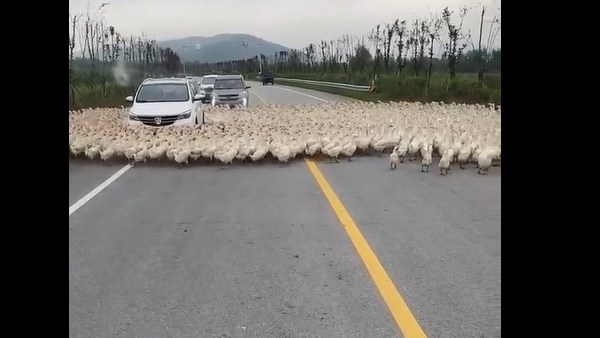  நெட்டிசன்கள் கருத்து