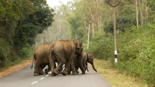 10 நாட்கள் 