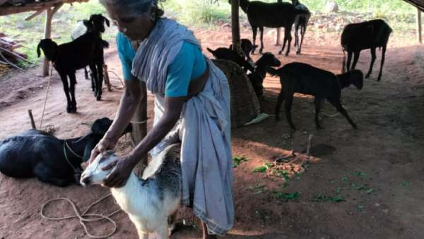 மக்கள் கதறல் மக்கள் கதறல்