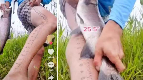 டிக்டாக் வீடியோ