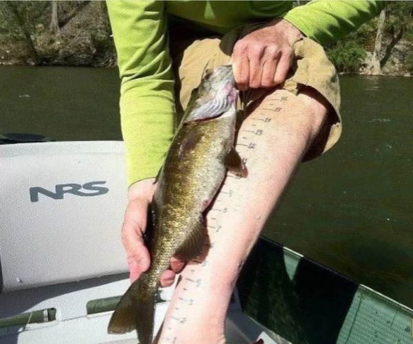 இதுதான் காரணம்