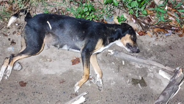 சிதறுண்டு போனார்கள் சிதறுண்டு போனார்கள்