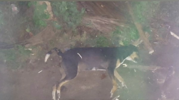 தெரு, பள்ளிகள் தெரு, பள்ளிகள்