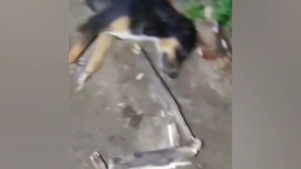 கன்ட்ரோல் ரூம் கன்ட்ரோல் ரூம்